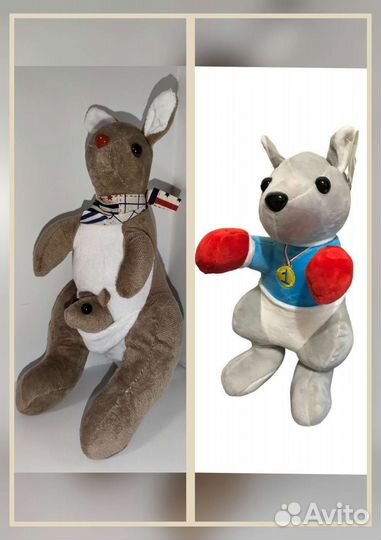 Кенгуру новые