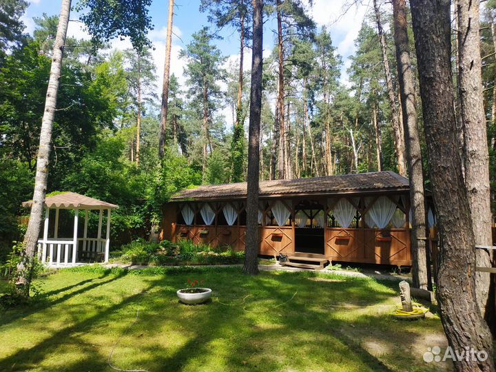 Беседки в сосновом лесу от 6-100 чел