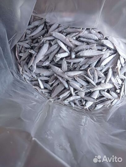 Тюлька россыпью