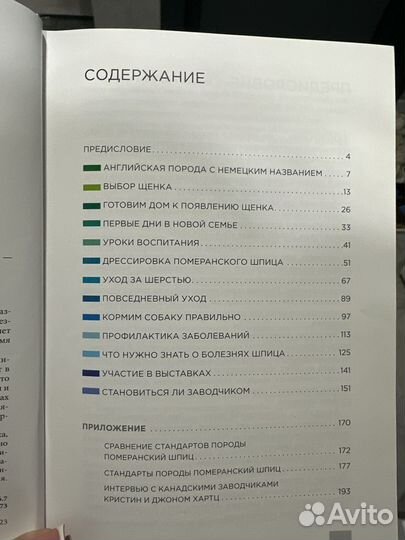 Померанский шпиц