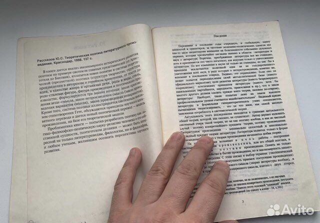 Рассказов Ю. Теоретическая поэтика литературного п