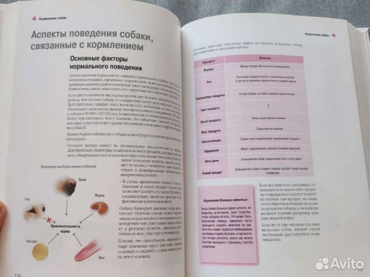 Разведение собак, практическое руководство