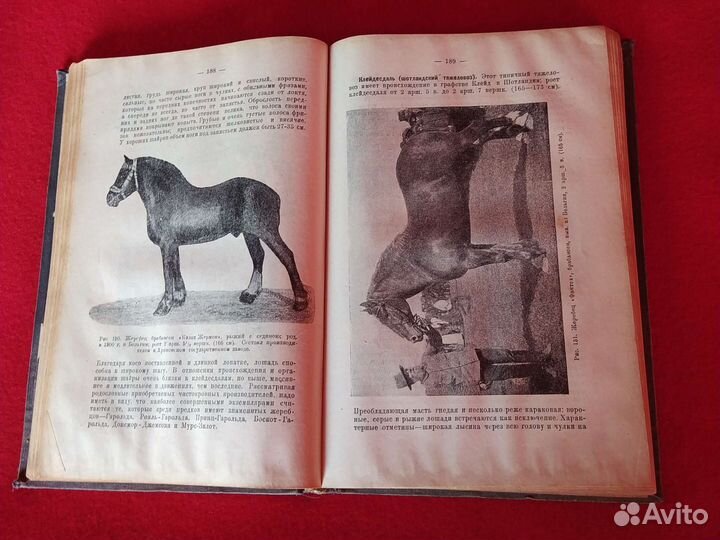 Книга автор Алтухов