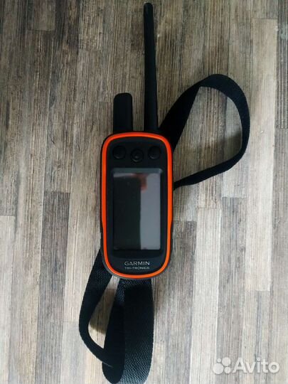 Навигатор garmin alpha 100