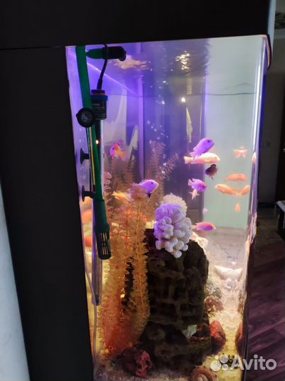 Аквариум с тумбой 500 литров