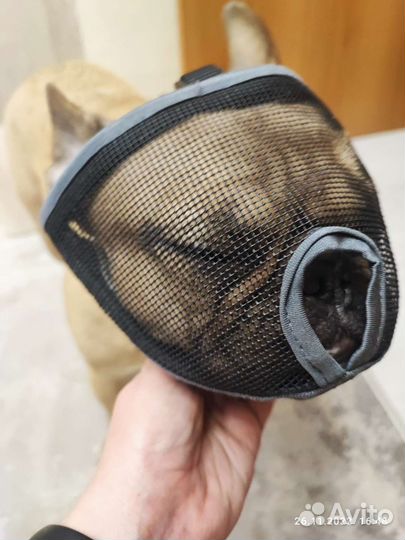 Намордник для короткомордых пород