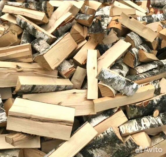 Дрова осина