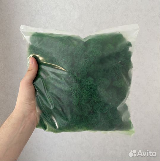 Стабилизированный мох