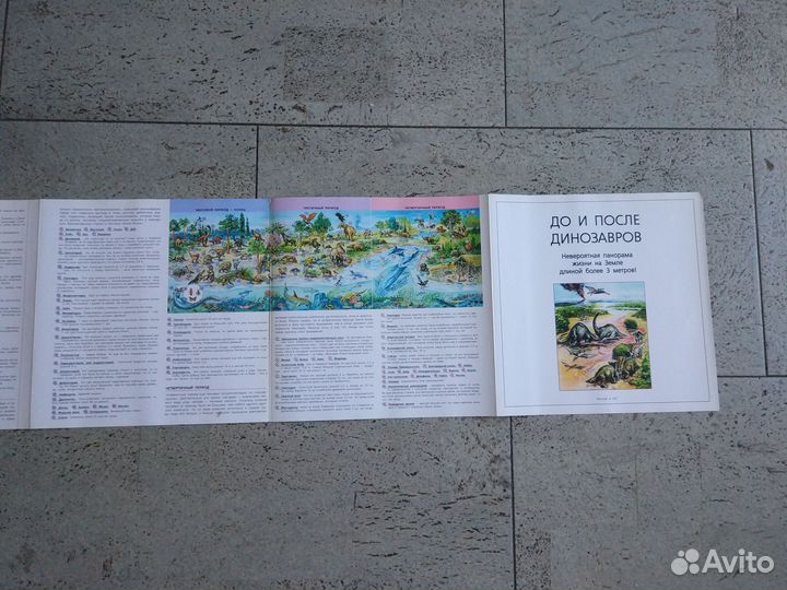 Лента времени 