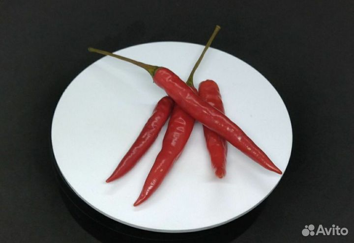 Семена острого перца