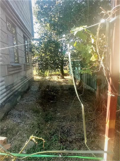 Дача 42,9 м² на участке 4 сот.