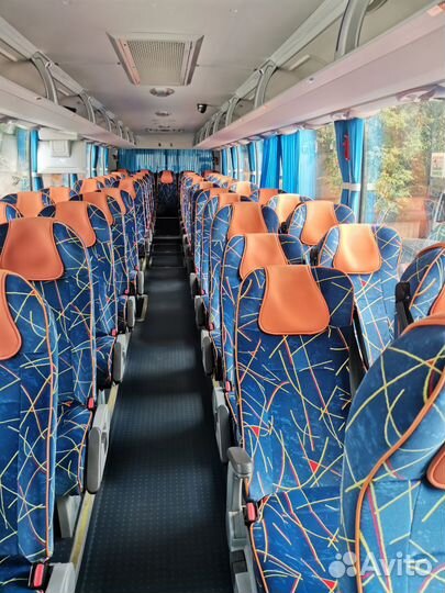 Автобус аренда заказ