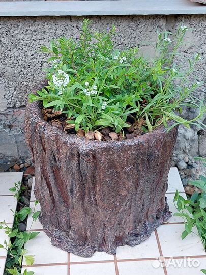 Уличные горшки