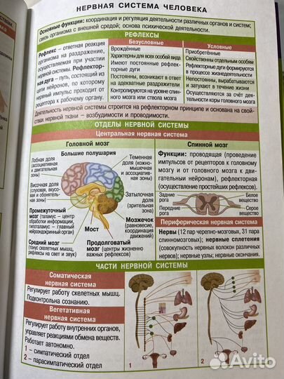 Справочник в таблицах по биологии