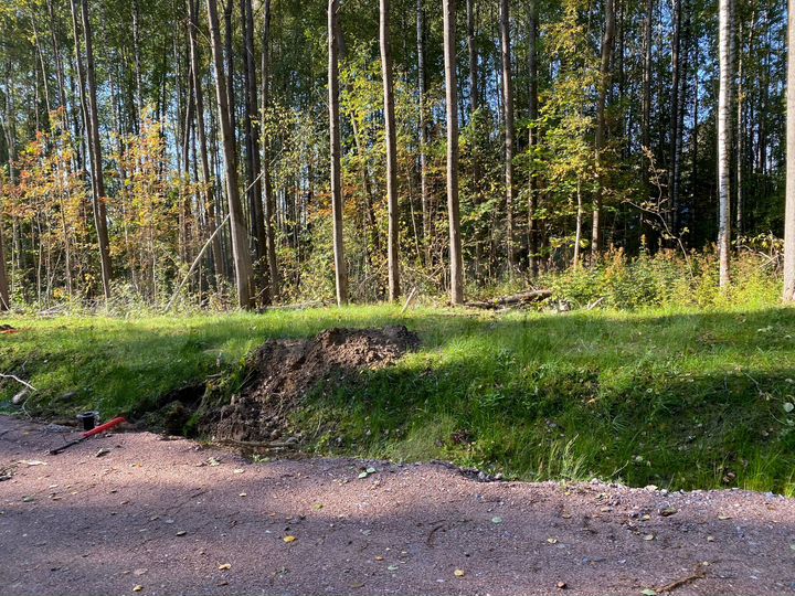 Участок 12,9 сот. (СНТ, ДНП)