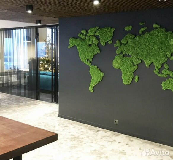 Панно из мха, Фитостена из мха