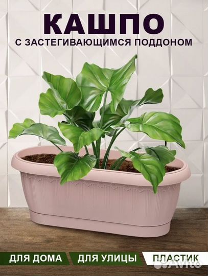 Новое кашпо Флавия
