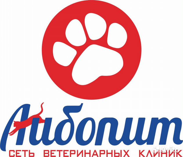 Ветеринарный врач