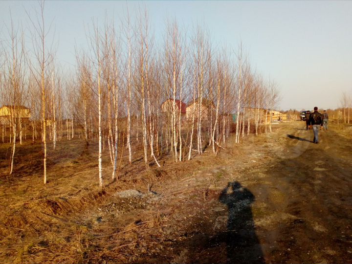 Участок 12 сот. (СНТ, ДНП)