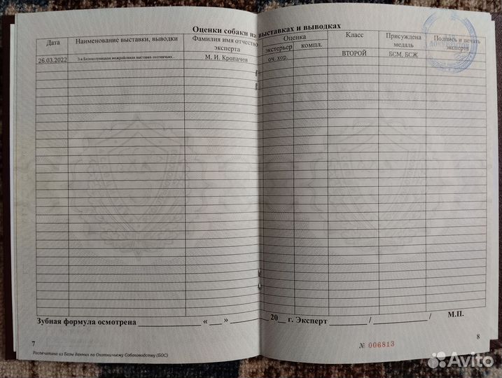 Кобель зсл