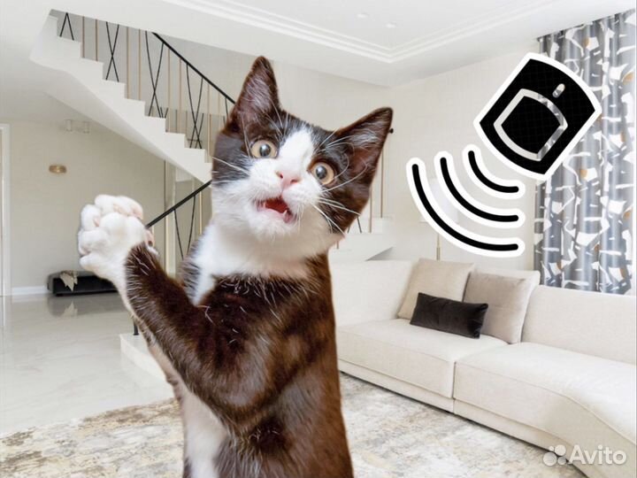 Сигнализация с защитой от животных