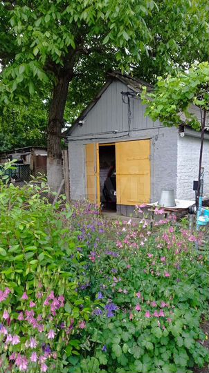 Дом 55 м² на участке 40 сот.