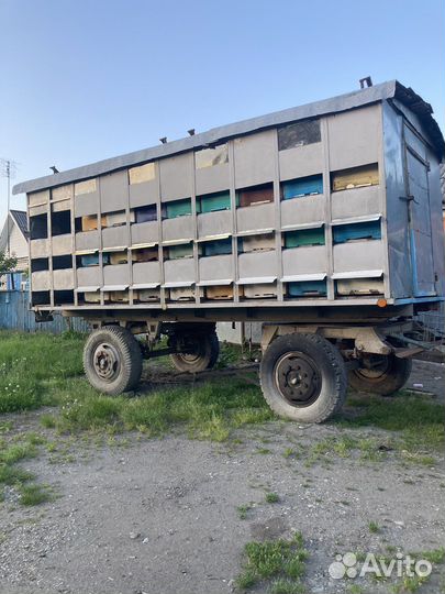 Пчелоплатформа