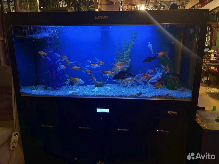 Аквариум с тумбой 890л