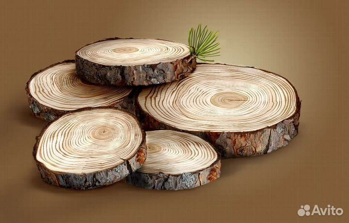 Спилы дерева. Набор 100шт, для творчества