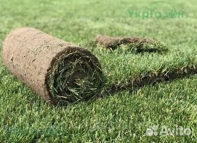 Газон рулонный гарантия