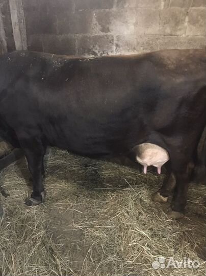 Подсобное личное хозяйство