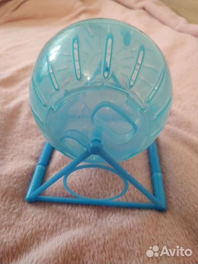 Беговой шар для джунгарского хомяка