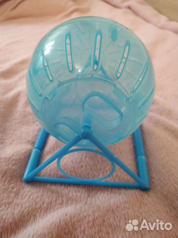 Беговой шар для джунгарского хомяка