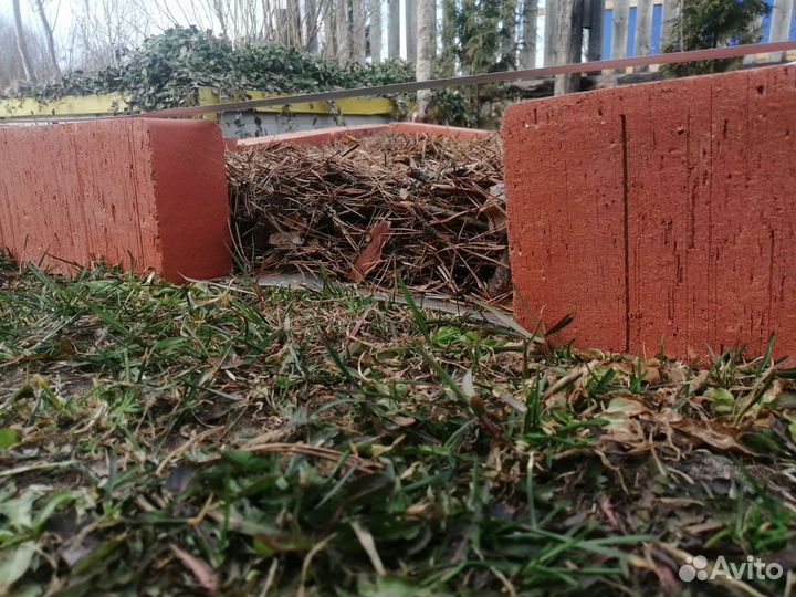 Сосновый опад