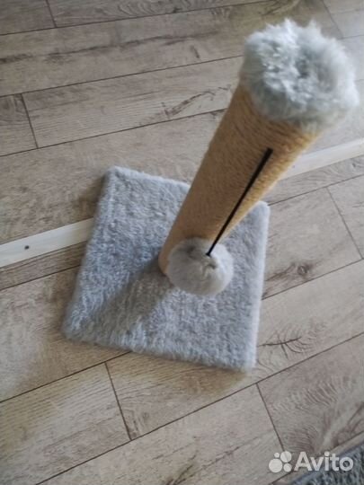 Когтеточка