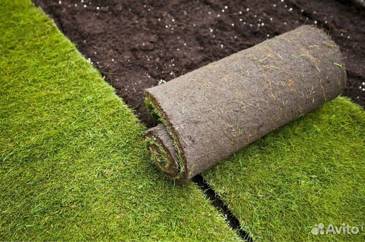 Укладка рулонного газона под ключ
