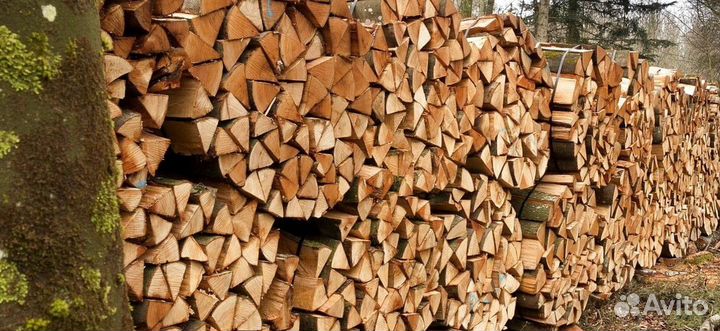 Дрова чистые