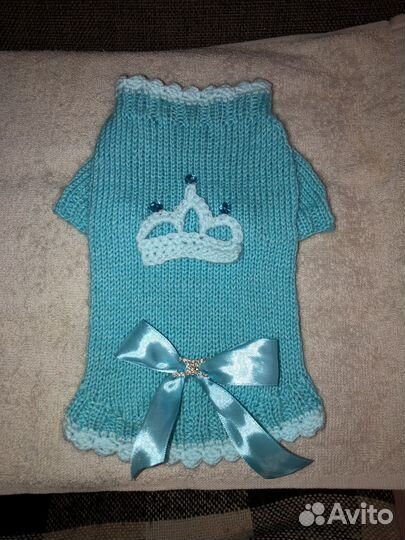 Ошейник, одежда для собак и кошек