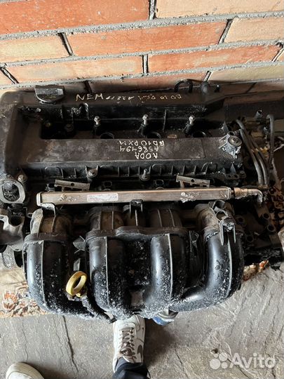 Двигатель ford 2.0 aoda