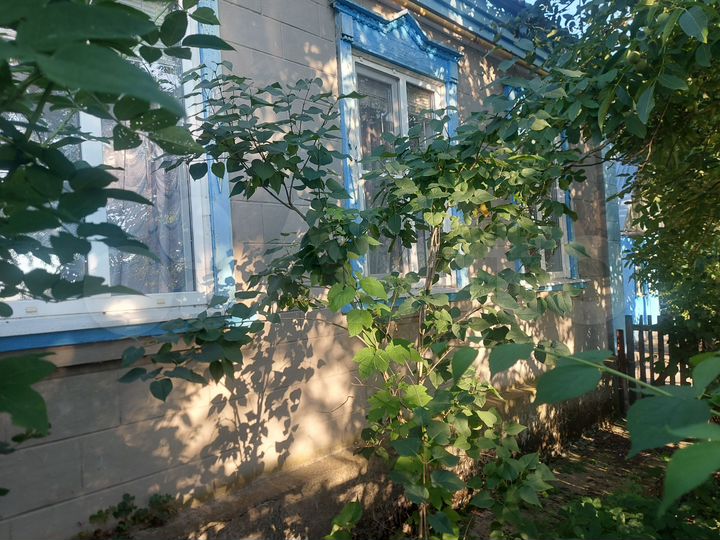 Дом 76,7 м² на участке 20 сот.