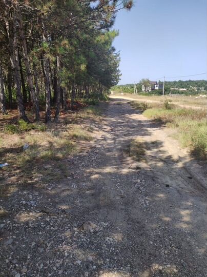 Участок 12 сот. (СНТ, ДНП)