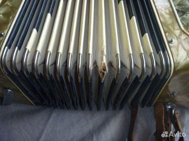 Аккордеон Firotti