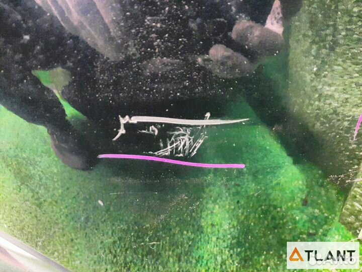 Nose cut mazda axela