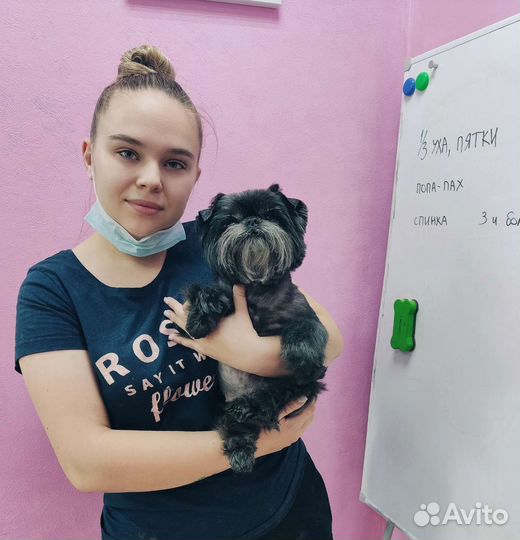 Груминг животных