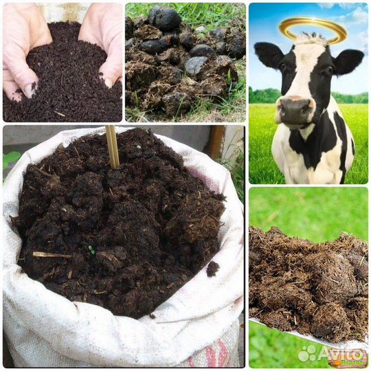 Перегной Земля Навоз Чернозем