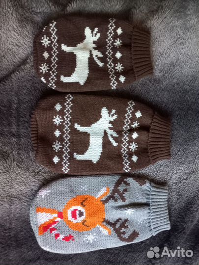 Кофточки, для маленьких собак или кота сфинкса