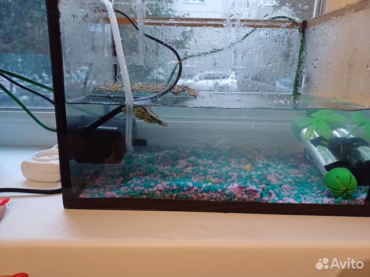 Украшения для аквариума, аквариум