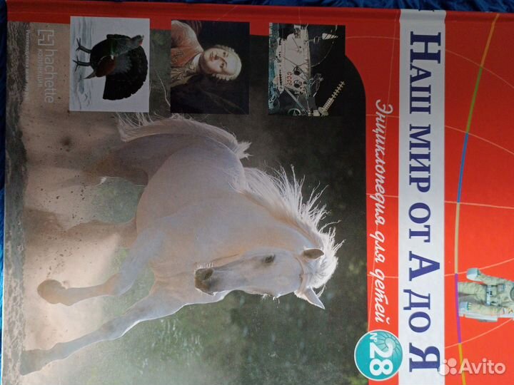 Энциклопедия для детей