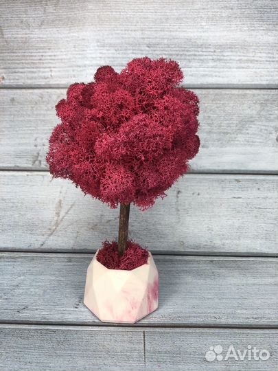 Дерево из стабилизированного мха