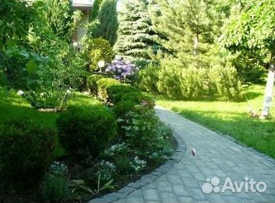 Рулонный газон